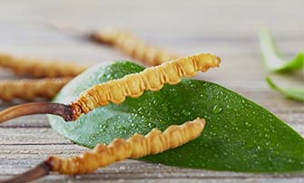 東陽(yáng)光健 東陽(yáng)光健